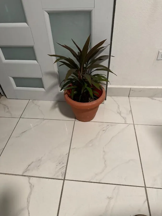 Second Floor 2Br Apt In The Center Of Santurce Appartamento San Juan